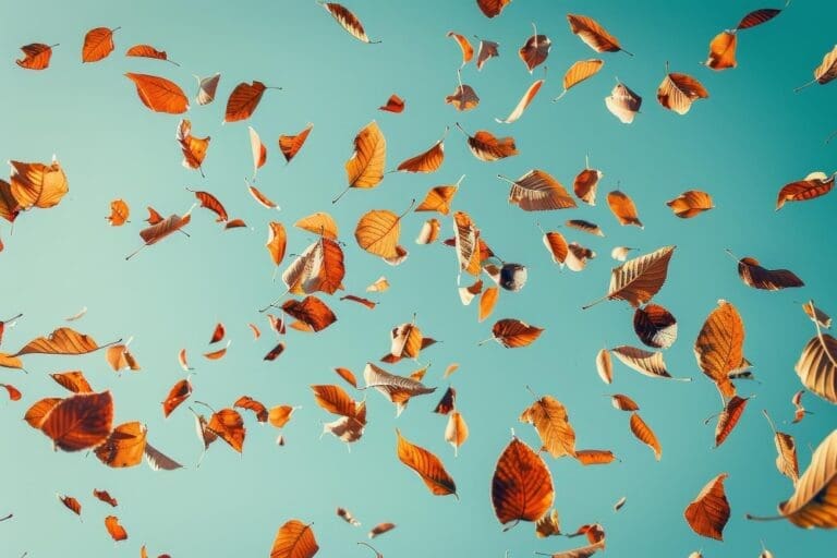 Falling autumn leaves against a blue sky.